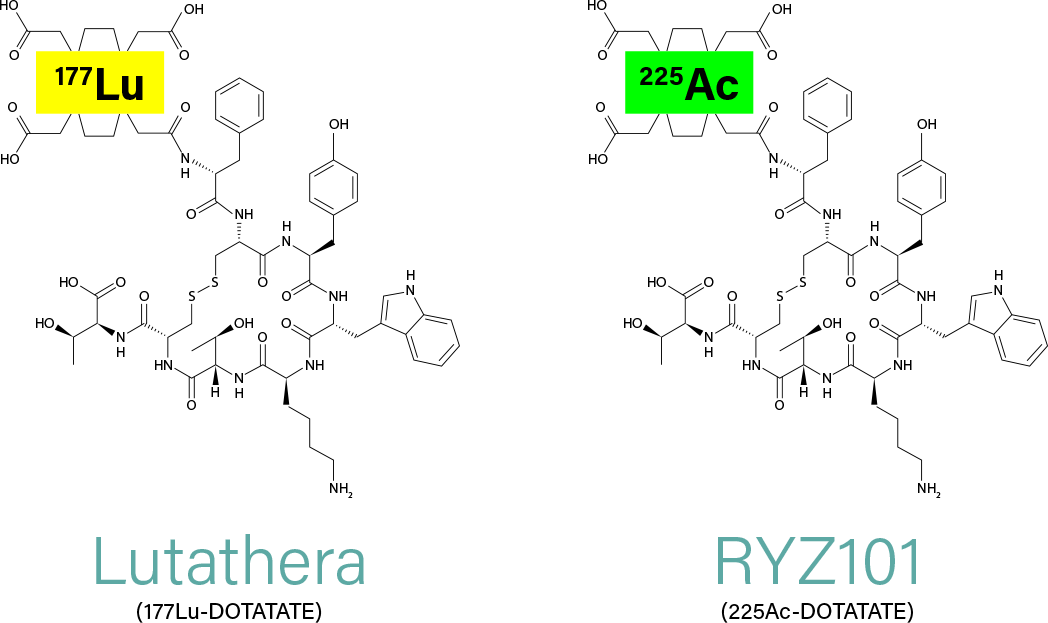 Structure of RYZ101